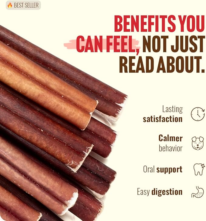 Natural Farm Odor Free Jumbo Bully Sticks (12 Inch, 5 Pack), Extra-Thick Chews for Dogs, Fully Digestible 100% Beef Treats, Supports Dental Health, Keep Your Dog Busy with 50% Longer Lasting Chews…