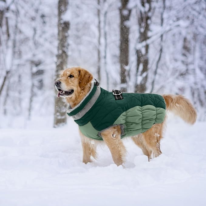 Lelepet Warm Dog Winter Coat Dog Coats for Small Dogs Waterproof Dogs Jacket with Harness Built in Reflective Cold Weather Coats Windproof Zip-Up Winter Fleece Vest Snowsuit Yorkie Teal Green S