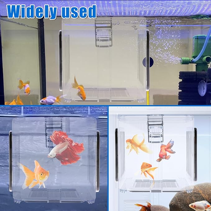Fish Breeding Box, Acrylic Fish Isolation Box, Clear Fish Isolation Hatchery Tank, Hanging Fish Incubator Box with Detachable Mesh Lid for Baby Fish Newborn Fish Shrimp 15x15x15 cm