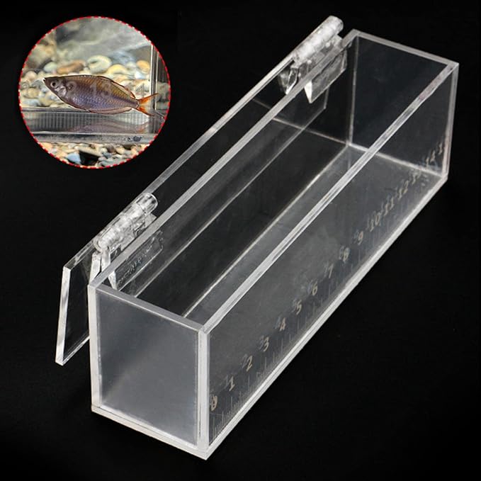Fish Viewing Box with Scale Fishing Photo Tank Acrylic Isolation Breeder Box Fish Breeding Tanks with Lid