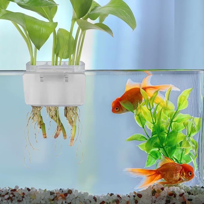 3 Holes Upgraded Aquatic Plant Cup Aquarium Plant Holder for Tank,Aquascape Accessories Decorations- White 2 Pcs
