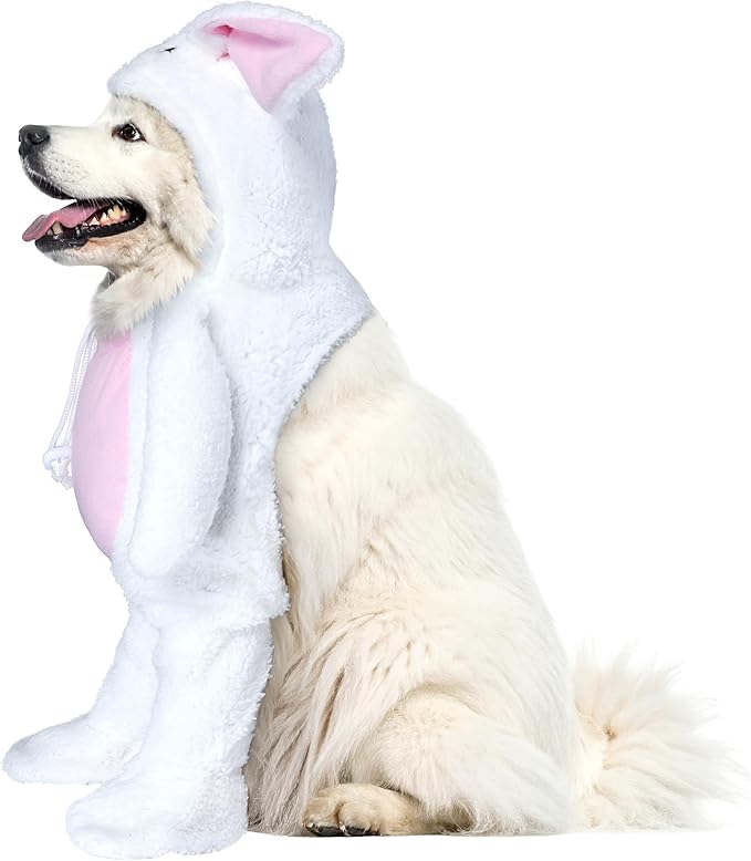 Rubies Walking Bunny Pet Costume for Dogs or Cats, Large