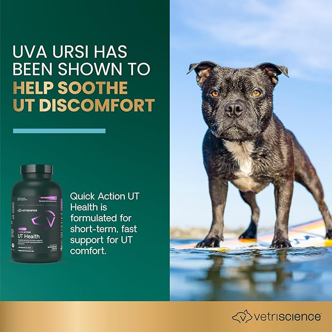 VetriScience Quick Action UT Health Chewable Tablets, UT Strength STAT Supplement for Dogs, Cranberry, Uva Ursi, and Chanca Piedra to Soothe Urinary Tract Discomfort, Smoke, 90 Count