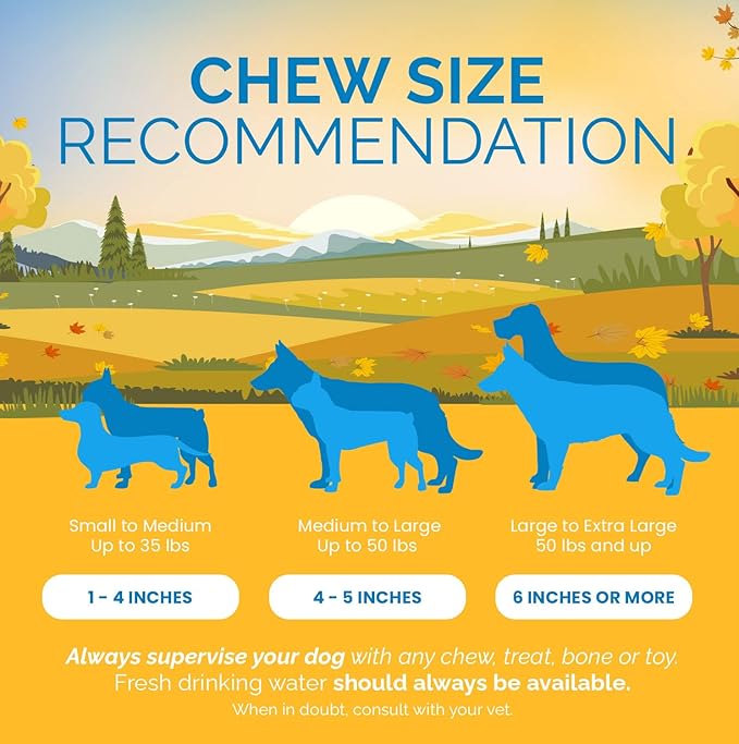 123 Treats Esophagus Dog Treats - (12 Inches - 20 Count) 100% Natural, Flat Gullet Sticks for Dogs, Beef Jerky Dog Treats Strips, NO Preservatives, Hormones, or Antibiotics