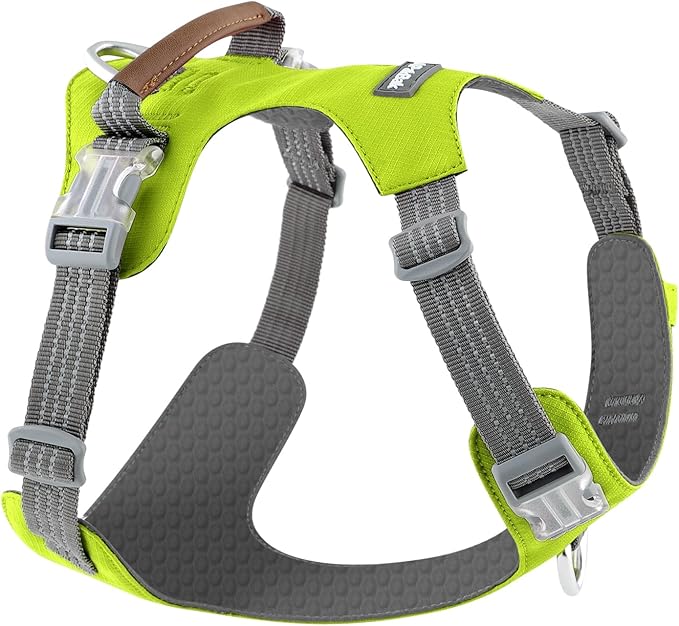 No Pull Dog Harness – Adjustable Reflective Nylon Vest for Small Medium Large Dogs, Escape Proof Training Harness with Leather Control Handle, Lightweight Aluminum Hardware (Green, M)