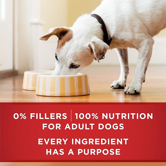 Purina ONE Natural High Protein Dog Food, Tender Cuts in Gravy Chicken and Brown Rice Entrée - 13 Ounce (Pack of 24)