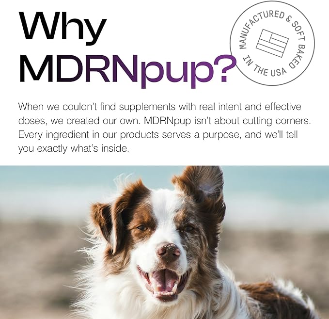 MDRNpup® Unique Dog Treats, Human Grade and All-Natural, Only Four Ingredients, High Protein - Amino Acids, Nothing Artificial, Soft Baked in The USA (13.2 Ounce, Chicken Peptide)
