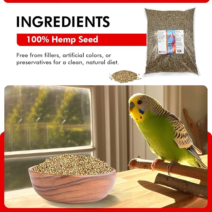 Morning Bird Hemp Seeds 9 lbs– High in Natural Protein, Healthy Fats, Omega 3 and 6 Fatty Acids, Delicious Natural Flavor, Supports Feather Growth & Overall Health