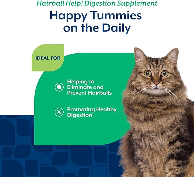 NaturVet Scoopables Hairball Aid for Cats - Helps Prevent & Eliminate Hairballs - Psyllium Husk & Pumpkin - Salmon Flavored Cat Health Supplement - Tastes Like Treats & Prevents Hairballs | 5.5oz Bag