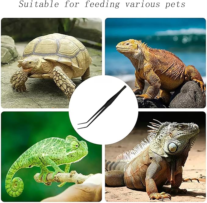 15 Inch Black Curved Aquarium Tweezers Stainless Steel With Rust Proof Carbonized Coating Reptile Feeding Tongs For Aquatic Plants Lizards Spiders Snakes Geckos