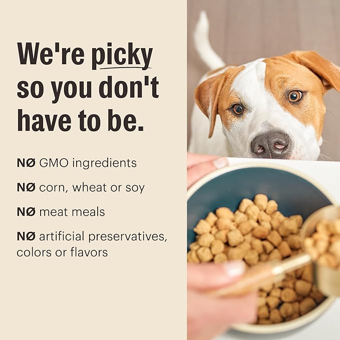 The Honest Kitchen Human Grade Whole Food Clusters Dry Dog Food - Grain Free Beef 5 lb Bag