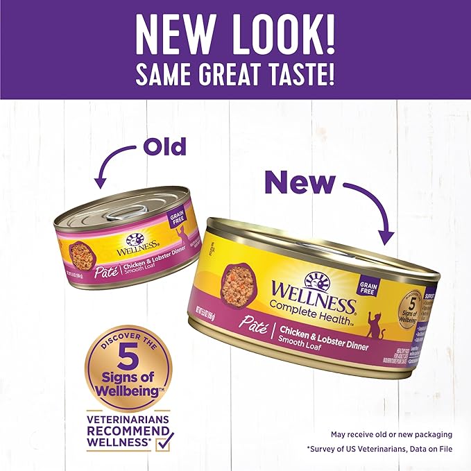 Wellness Complete Health Pate Adult Wet Cat Food, Natural, Protein-Rich, Grain Free, 5.5 Ounce, 24 Pack, (Chicken & Lobster)