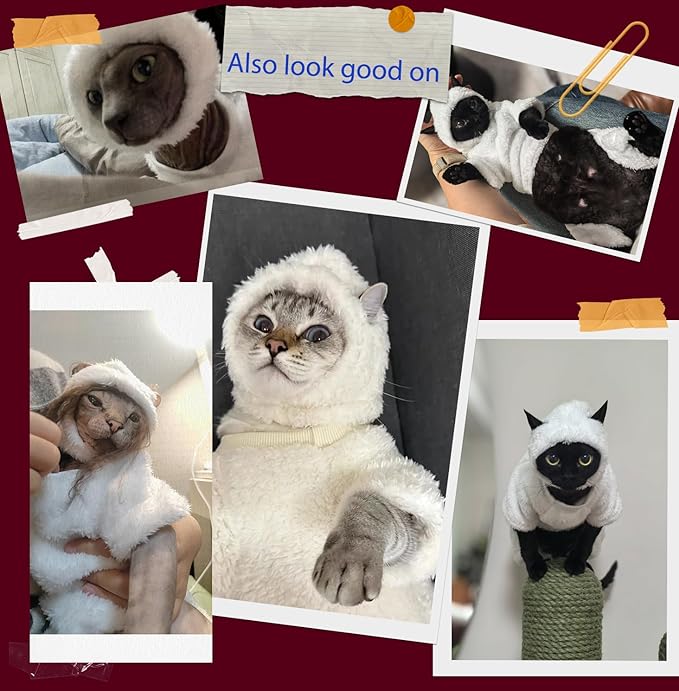Warm Fleece Lined Winter Clothing for Sphynx & Devon Rex Cats | Soft Faux Lamb Wool | Cozy and Comfortable (Sheep Costume,M About 2-2.5kg/4.4-5.5pounds)