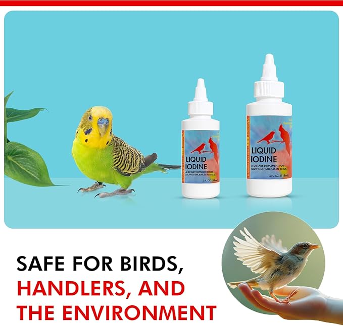 Morning Bird Liquid Iodine for Birds 2 fl oz – Iodine Mineral Supplement – Supports Feather Growth, Molting, Energy & Healthy Thyroid Function – Easy-to-Use Drops