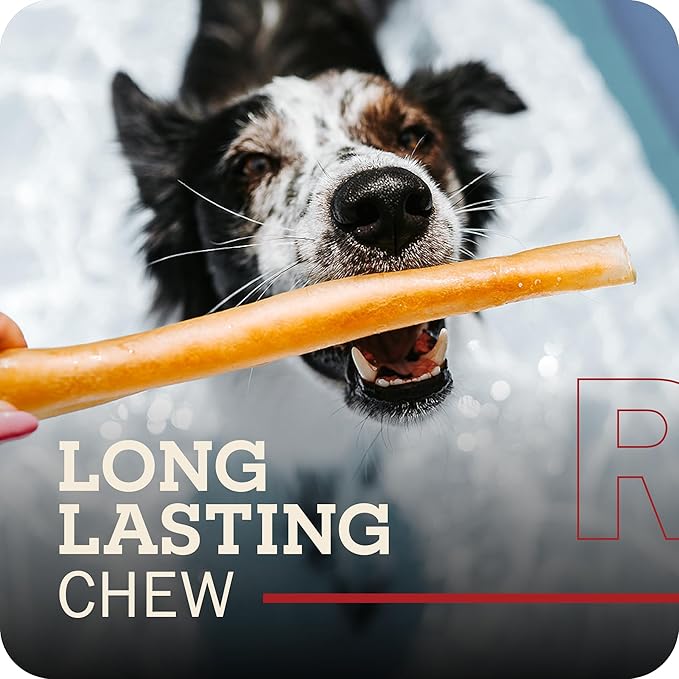 Redbarn Pet Products Natural Large Collagen Sticks for Dogs - Long Lasting Alternative to Traditional Rawhide & Bully - Supports Joint, Skin, & Coat Health - Case of 35