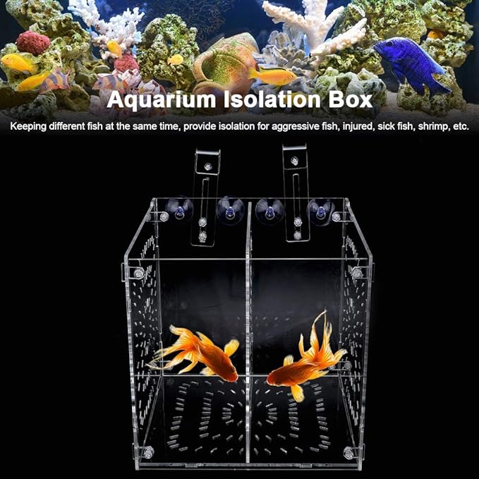 Fish Tank Breeding Box Acrylic Isolation Incubation, Adjustable Height, Transparent - Durable Material, Stable Attachment, Ideal for Aggressive and Sick Fish (20MC *20CM*20CM)