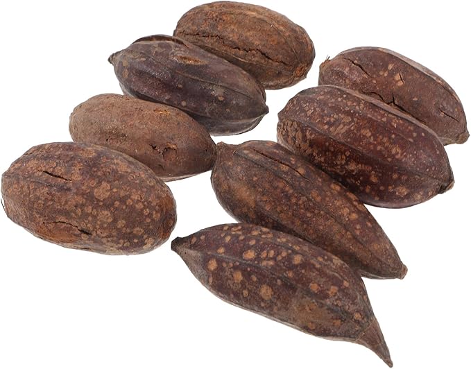 8pcs Natural Dried Fruit Parrot Chew for Budgie and Parakeet Foraging Accessories with Unique Shapes to Promote Healthy Beak and Mental Stimulation