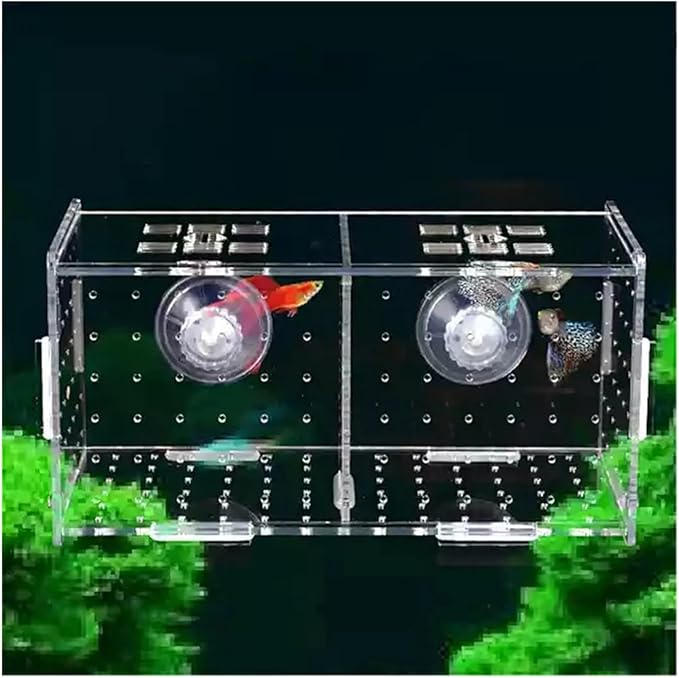 Transparent Acrylic Aquarium Isolation Box - Single & Double Grid Fry Breeding Tank for Fish Hatcheries(Hook)