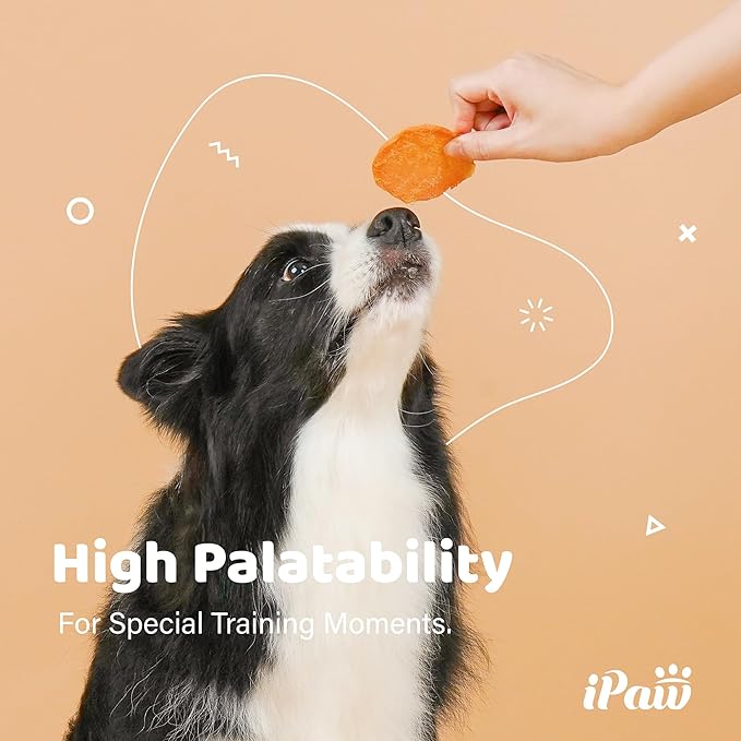 iPaw Chicken Chips Dog Treats for Puppy Training, All Natural Human Grade Dog Treat, Hypoallergenic, Easy to Digest (Chicken Chips)