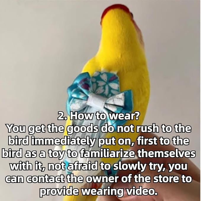 Bird Diaper Cockatiel Clothes Flight Suite, Reusable Parrot Nappy with Waterproof Inner Layer, Cute Pigeon Pants Urine Wet Suit Costume for Conure Macaw (Blue C,Macaw)
