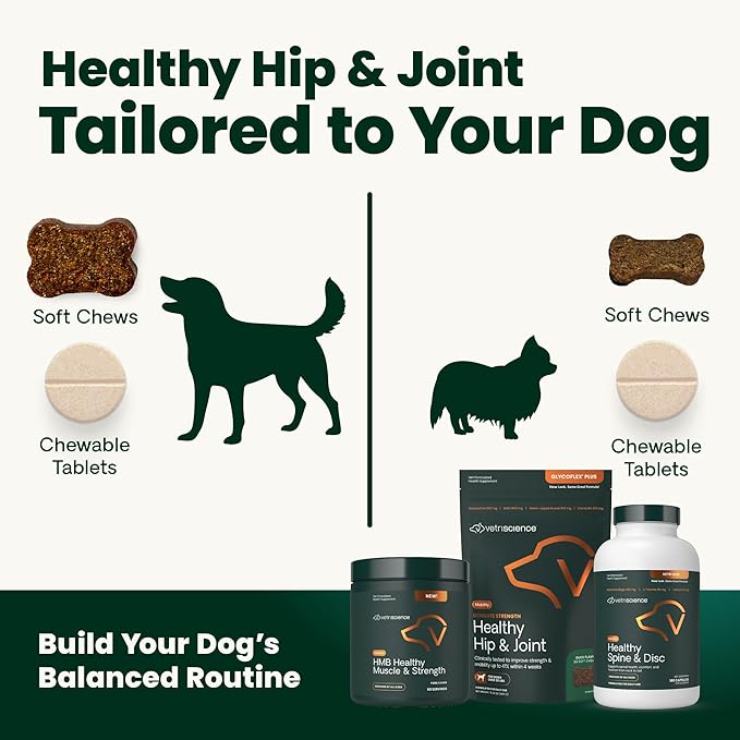 VetriScience Extra Strength Healthy Hip & Joint Chews, GlycoFlex 3, Glucosamine, Green-Lipped Mussel, Joint Support Supplement for Dogs, Promote Mobility & Soothe Joint Discomfort, Chicken, 120 Count