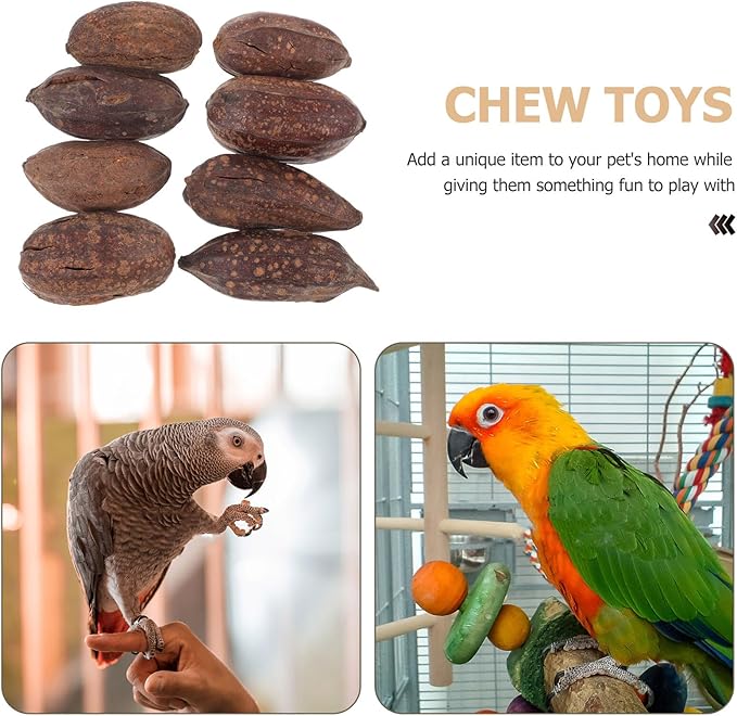 8pcs Natural Dried Fruit Parrot Chew for Budgie and Parakeet Foraging Accessories with Unique Shapes to Promote Healthy Beak and Mental Stimulation
