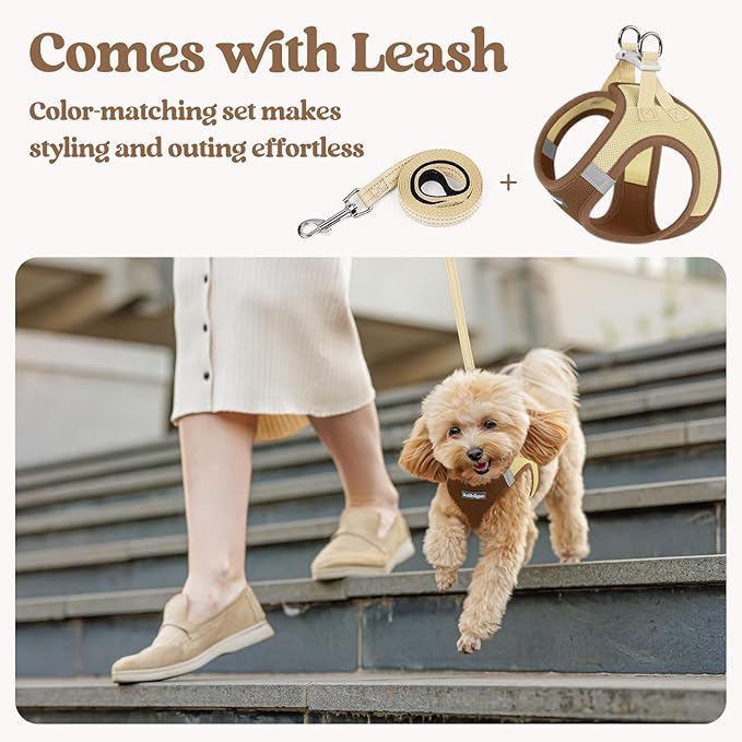 rabbitgoo Dog Harness Small Sized and Leash Set, Step in Soft Light Puppy Vest, Breathable Mesh Pet Harness, Reflective for Safe Easy Walking, Brown & Beige XXS