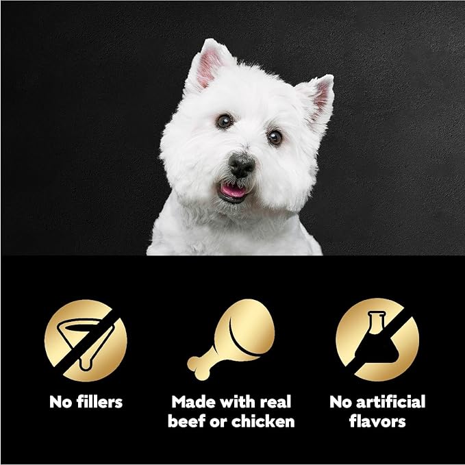 Cesar Filets in Gravy Wet Dog Food Filet Mignon Flavor and Rotisserie Chicken Flavor Variety Pack, Wet Food for Dogs, 1.76 oz. Mini-Pouches, 20 Count (Pack of 4)