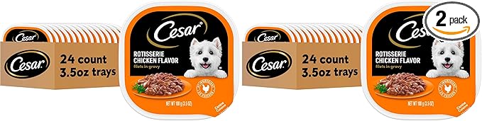 Cesar Filets in Gravy, Adult Wet Dog Food, Rotisserie Chicken Flavor, Wet Food for Dogs, 3.5 oz Trays, 24 Count (Pack of 2)