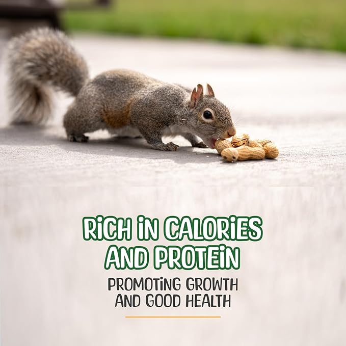 Premium Quality Raw Peanuts in Shell - 8 Pounds – All-Natural Food for Squirrels, Deer, Birds, and Other Wildlife Animals – Grown in The USA for Healthy Nutrition