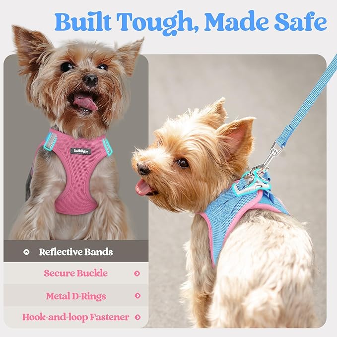 rabbitgoo Dog Harness Small Medium Sized and Leash Set, Step in Soft Light Puppy Vest, Breathable Mesh Pet Harness, Reflective for Safe Easy Walking, Blue & Light Pink XL