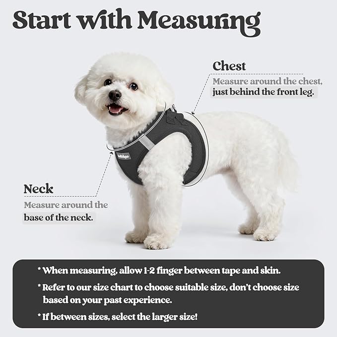 rabbitgoo Dog Harness Small Sized and Leash Set, Step in Soft Light Puppy Vest, Breathable Mesh Pet Harness, Reflective for Outdoor Safe Walking, Black XXL