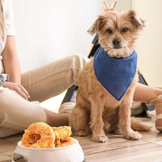 Jungle Calling Dog Treats Long Lasting, Rawhide Chews for Dogs, Chicken Wrapped Rawhide Donuts, Chewy Snacks for Medium Large Dogs (Pack of 2)