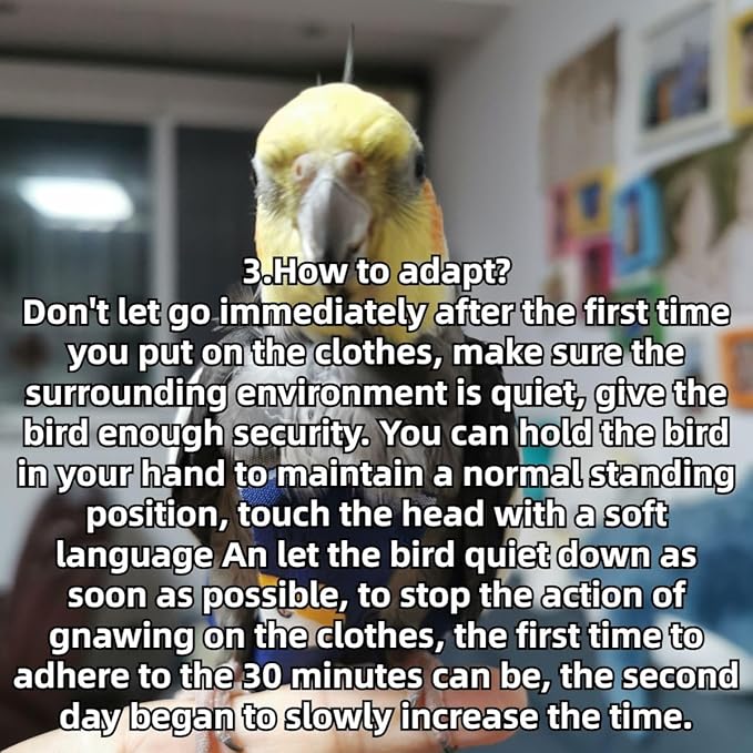 Bird Diaper Protective Parrot Nappy - 4 Pack, Reusable Flight Suit with Waterproof Inner Layer, Adjustable Shoulder Straps, Washable Cute Urine Wet Suit for Parakeet Conure (L)