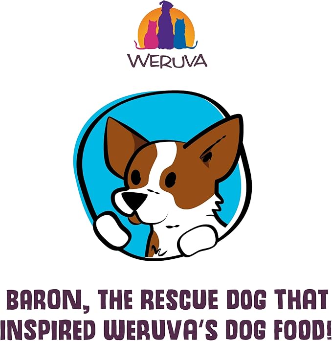 Weruva Classic Dog Food, Wok The Dog with Chicken, Beef & Pumpkin in Gravy, 5.5oz Can (Pack of 24), Brown