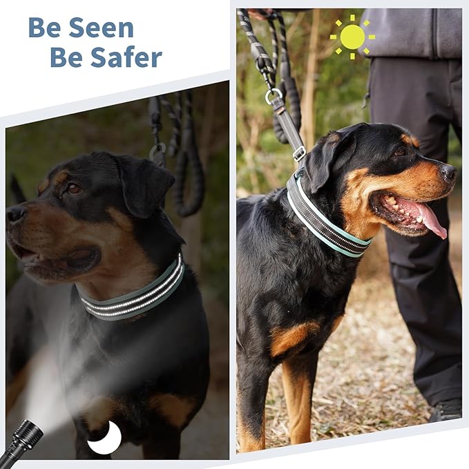 Mayerzon Martingale No Pull Collar for Medium Large Dogs, Patented Anti Pull Dog Collar with Buckle for Walking Training, with Neoprene Padding and Reflective Stitching, Adjustable(Teal Trim, L)