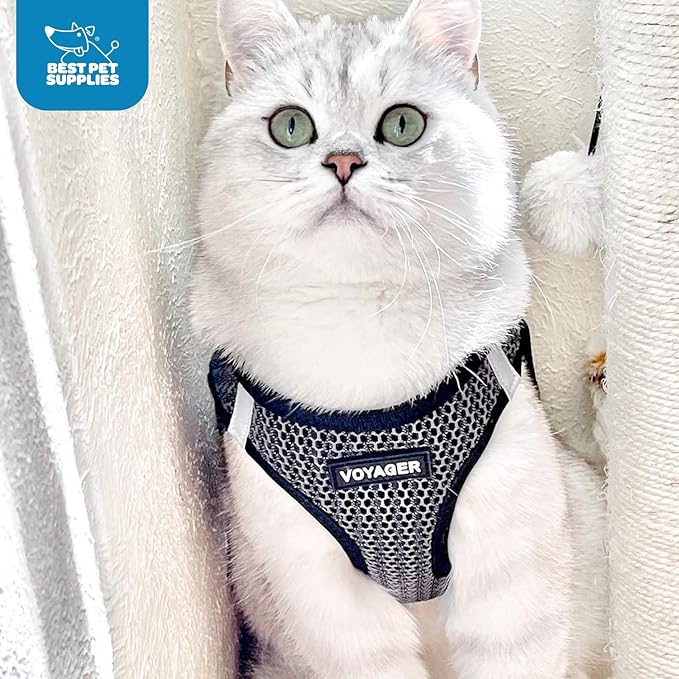 Best Pet Supplies Voyager Step-in Air Harness - All Weather Mesh, Reflective, No Pull Harness for Dogs, Cats - Secure with Hook & Loop Fastener, Buckle, Double D-Rings - Gray 2-Tone, M