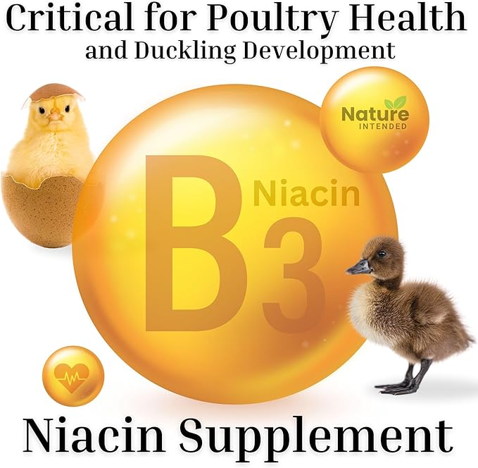 Health Multiplier Brewer's Yeast for Ducks, Chicken Probiotic, Niacin for Ducks, Chicken Vitamins, Chick Probiotics, Baby Chick Food, Duckling Supplies, Duck Niacin Supplement (Case of 70 Pouches)