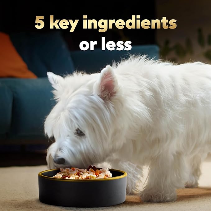 Cesar Simply Crafted Adult Wet Dog Food Toppers for Dry Food, Chicken, 1.3 oz Tubs, 10 Count