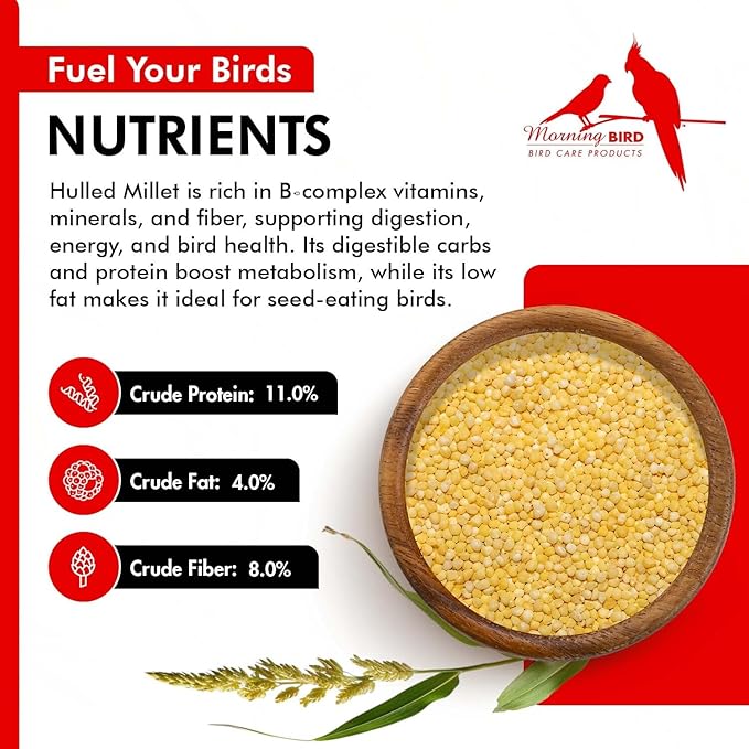 Morning Bird Hulled Millet 9 lbs – Nutritious Hulled Millet Seed - Waste Free - No Mess - Easily Digestible with High Fiber, Rich in Vitamins & Minerals for Birds, Ideal Bird Feed for All Bird Types