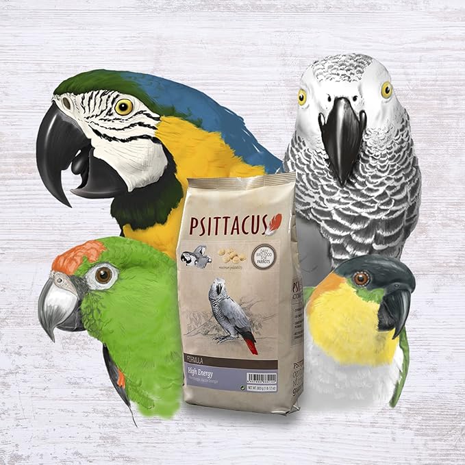 Psittacus High Energy 1.76 lb | Complete Pellet Diet for African Greys, Macaws and Other African Parrots | Premium Food for Birds, 100% no-GMO