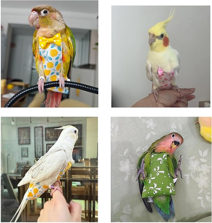 Bird Diaper Flight Suit, 3-Packs Lightweight Reusable Washable Elastic-Straps Parrot Clothes for Peony/Monk Parakeet, Prevents Poop Leaks & Feather Pecking (Peach+Orange+Watermelon, M)