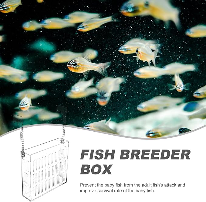 COHEALI Hanging Fish Isolation Box Acrylic Guppy Breeding Separator Aquarium Nursery Fry Tank Medium Size for Aquarium Fish and Mini Parrot Breeding