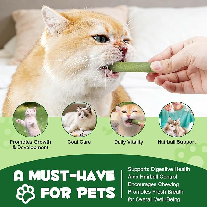 60g Cat Grass Stick, Freezed Dried Cat Grass Sticks Snacks for Teeth Cleaning and Hairball Removal, Natural Chicken Flavored