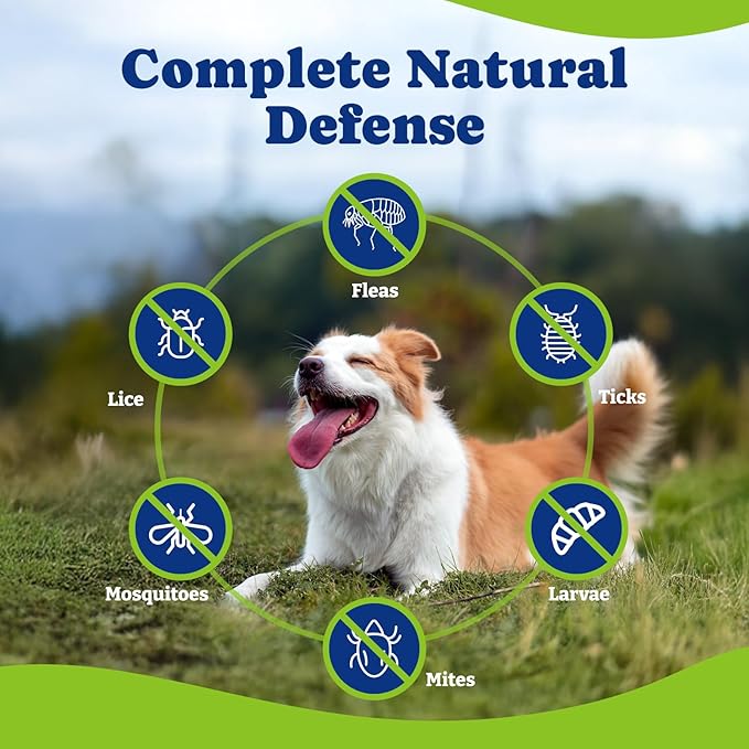Flea & Tick Prevention for Dogs Chewables, Natural Dog Flea and Tick Control Treatment, Oral Flea Pills, Dogs Supplement, Natural Shield 5-in-1 Protection, Beef & Carrot Flavor, 180 Soft Chews