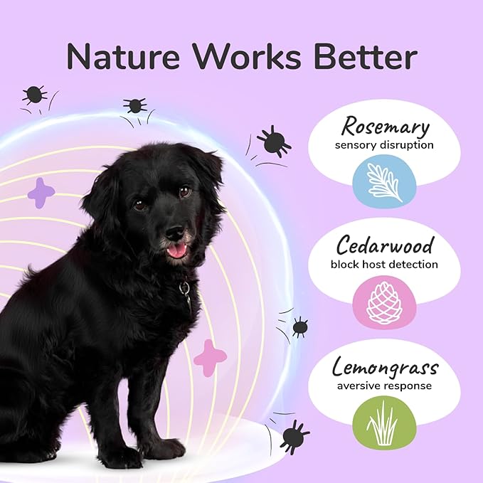 kin+kind Plant Based Flea and Tick Spray for Dogs and Cats – Essential Oil Formula with Lemongrass – Flea and Tick Prevention for Cats, Kittens, Puppies & Dogs - Pet Supplies - Family Safe – 32 fl oz