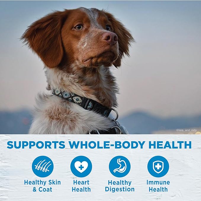 Wellness Simple Limited Ingredient Adult Dry Dog Food, Grain Free Kibble, Sensitive Stomach, Skin & Coat Support, Natural, Chicken Free, Turkey and Potato Recipe, 40 lb Bag