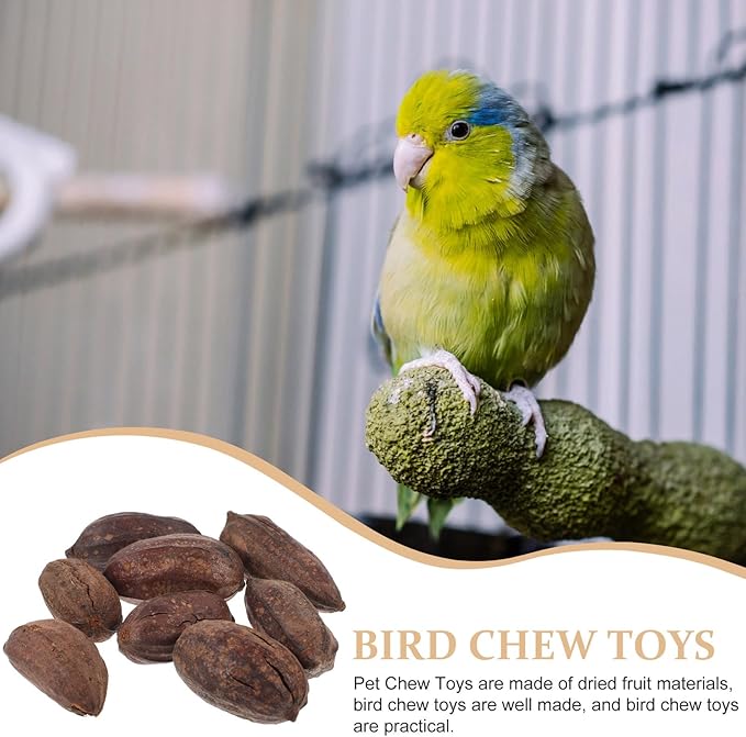 YARNOW 8pcs Natural Dried Fruit Bird Chew for Parakeets Cockatiels Parrot Biting to Mental Health and Prevent Boredom with Unique Shapes and Safe Materials