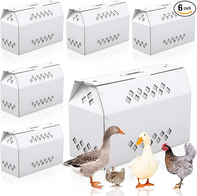 6 Pack Single Live Chicken Shipping Box, 17.7"L x 7.8"W x 11.8"H Cardboard Live Bird Carrier Box with Ventilation Holes Handle, Thickened Corrugated Paper for Poultry, Pets, Animals(White)