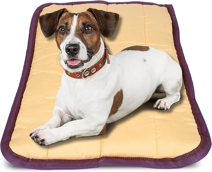 Jeffers Pet Comfort Dog Pillow, XL 36" x 48", Tan – Machine Washable Dog Bed for House, Sofa, Crate & Travel – Poly Cotton Shell, Winter Warmth, Soft, Comfy, Durable, Top Pet Bedding